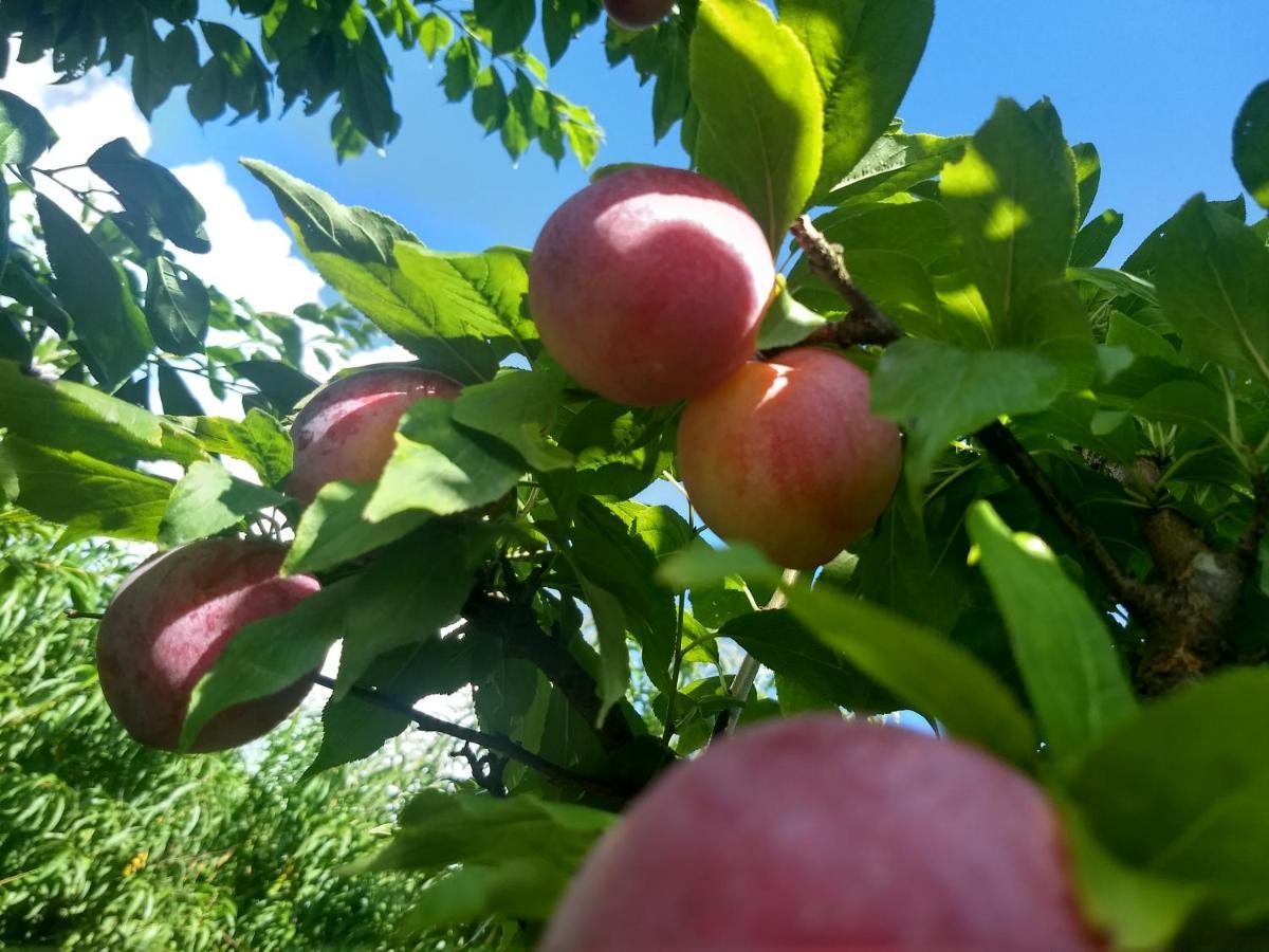 Chales Manaca Da Serra Urubici Bagian luar foto